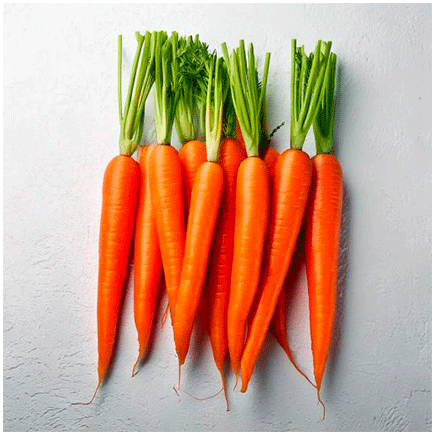 Aroma Carota Naturale Liposolubile