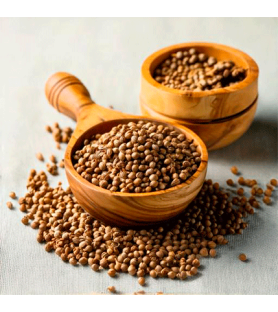 Aroma Naturale di Coriandolo Oleosolubile