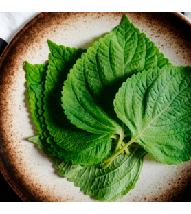 Aroma Naturale di Shiso Oleosolubile