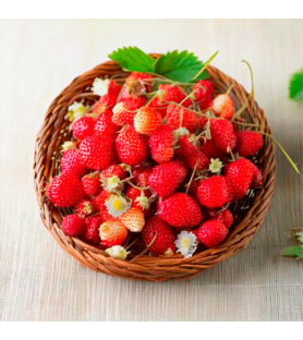 Wild Strawberry Natural Flavour Powder