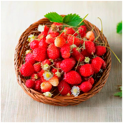 Wild Strawberry Natural Flavour Powder