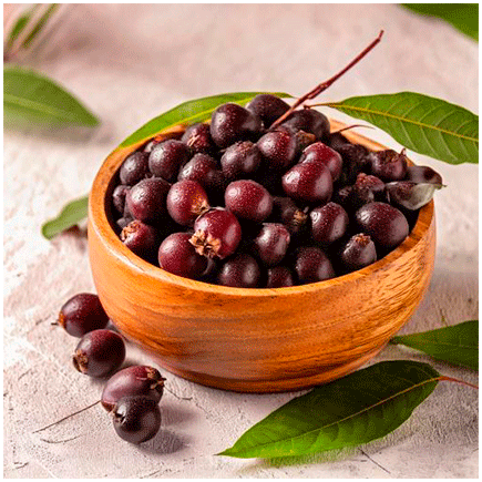 Acai Flavour Powder