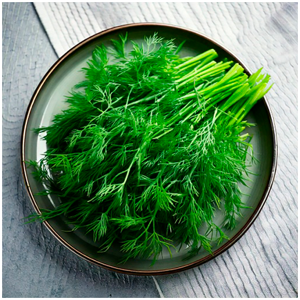 Dill Natural Flavour 1.5