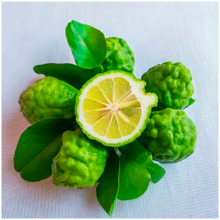 Aroma Naturale di Bergamotto BIO