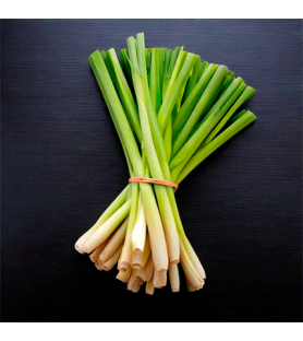 Aroma Naturale di Lemongrass e Limone BIO Solubile