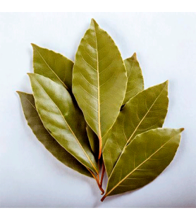Aroma Naturale di Alloro Oleosolubile