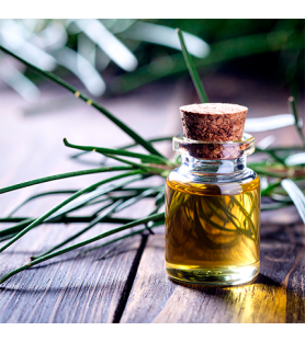 Aroma Naturale di Vetiver Oleosolubile