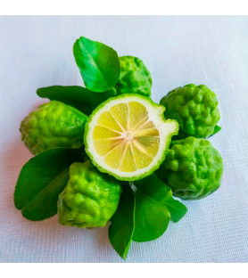 Natural Bergamot 22 Flavour