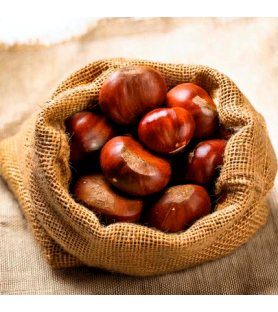 Chestnut Flavour Powder