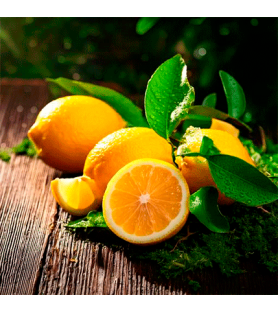 Aroma Limone Britannico Special Naturale in Polvere