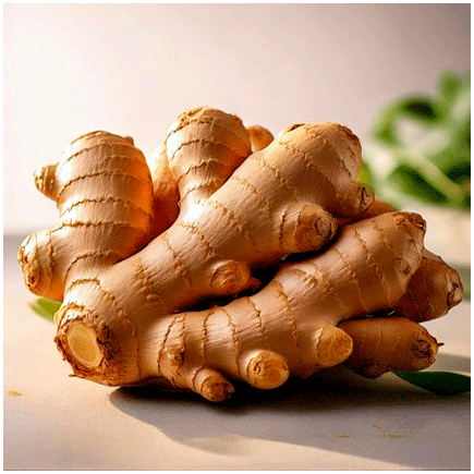 Ginger Organic Extract