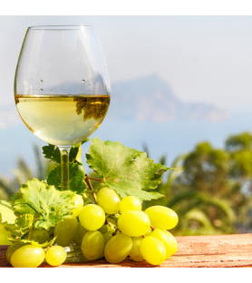 Aroma Vino Macabeo Naturale