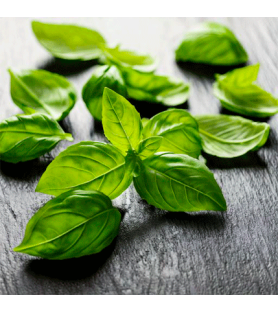 Thai Basil 2.0 Natural Plus Flavour Oilsoluble
