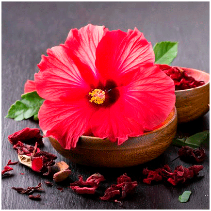 Hibiscus Sabdariffa flavour