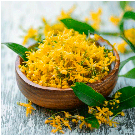 Aroma Naturale di Osmanto Oleosolubile